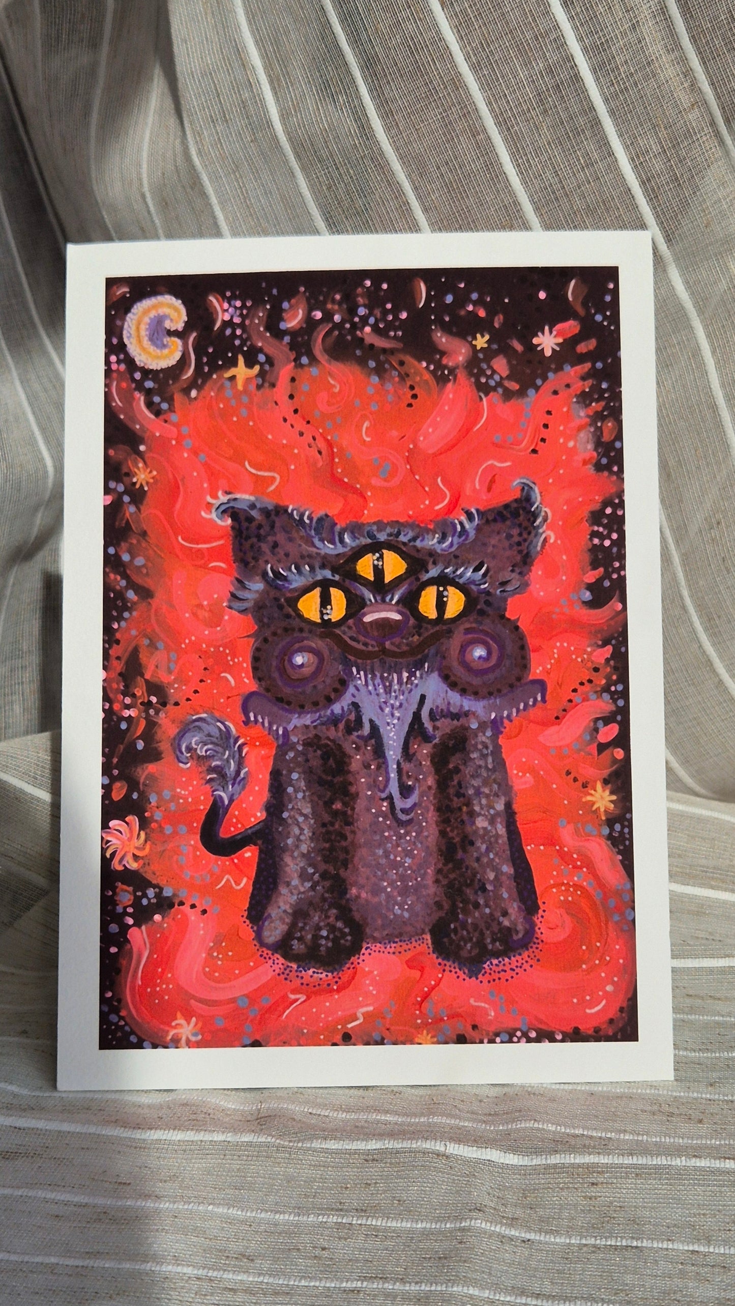 Mr Beans the Magi-Cat
